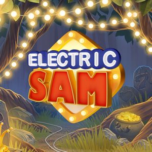 Elk-Elektryk-Sam