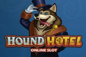 Hotel Microgaming Hound