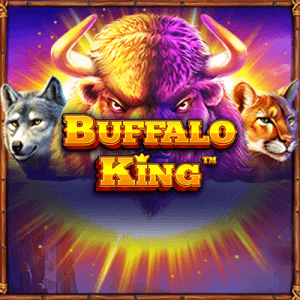 Buffalo King